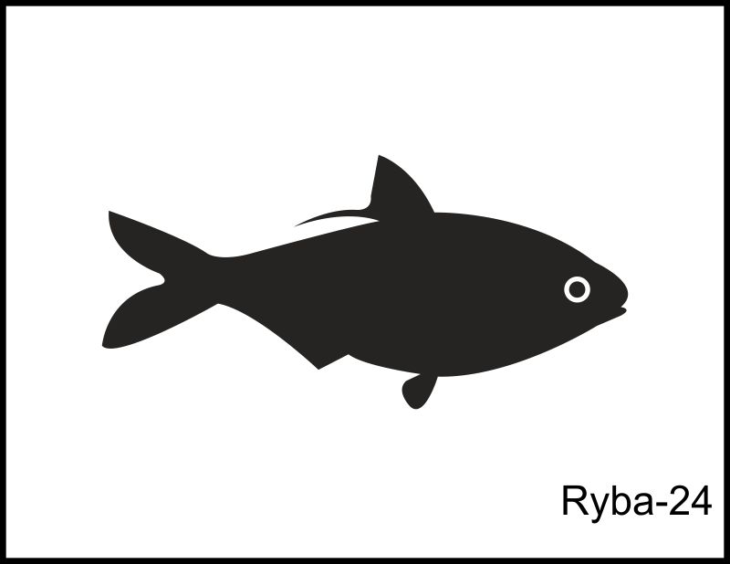 ryby 24